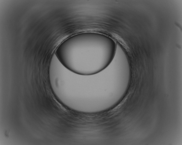 X0000093151177200709261010