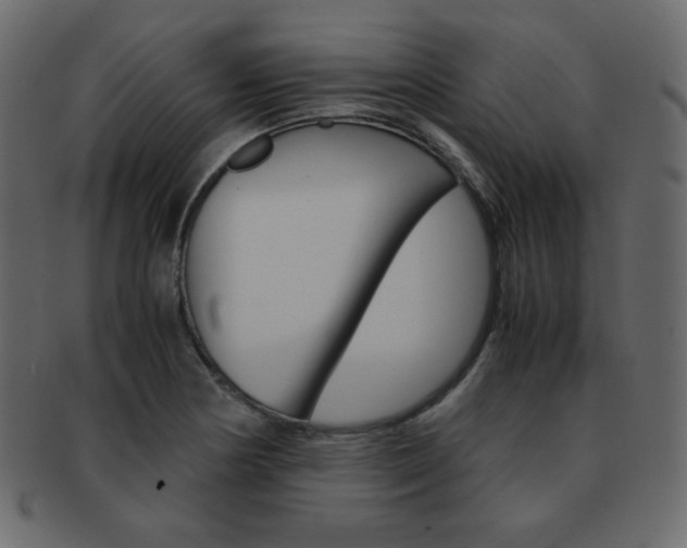 X0000093151178200709261010