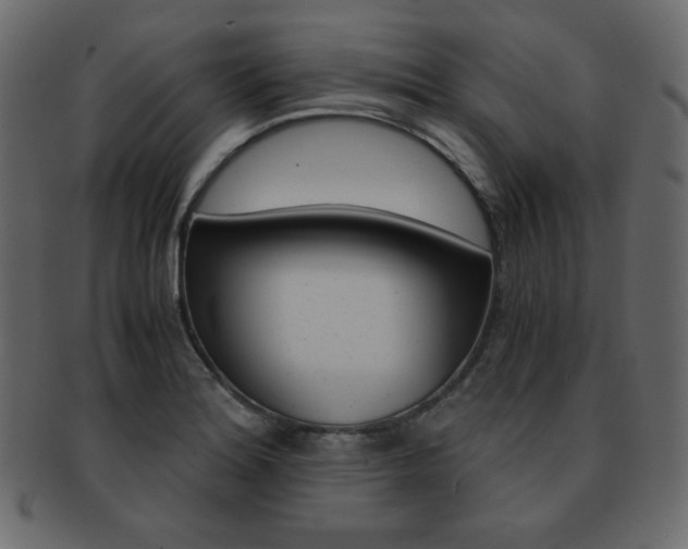 X0000093151180200709261010