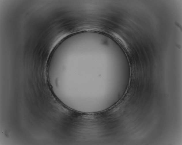X0000093151182200709261010