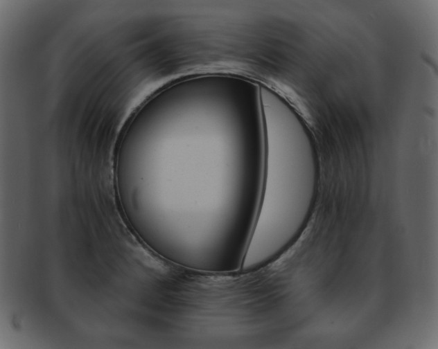 X0000093151184200709261010
