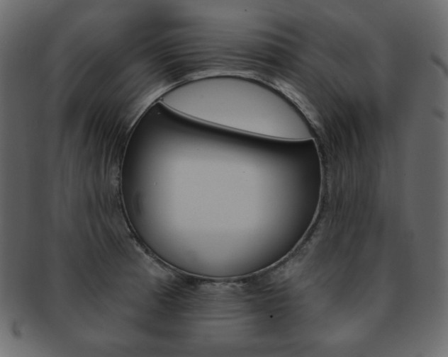 X0000093151185200709261010