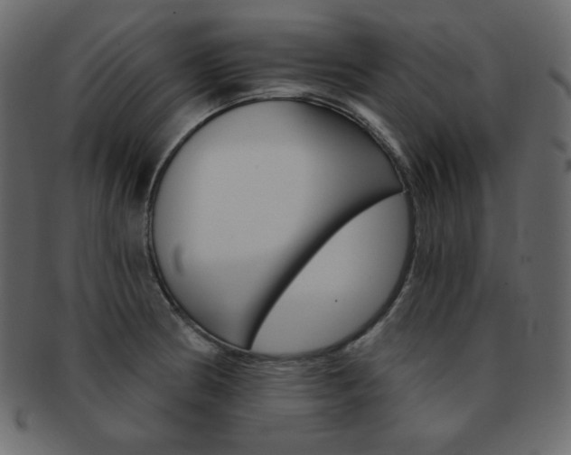X0000093151186200709261010