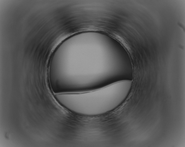 X0000093151187200709261010