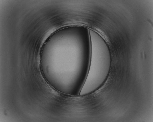 X0000093151188200709261010