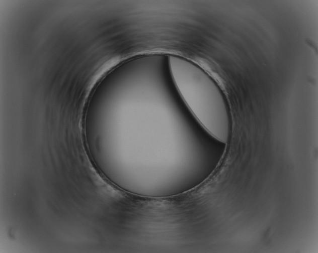 X0000093151189200709261010