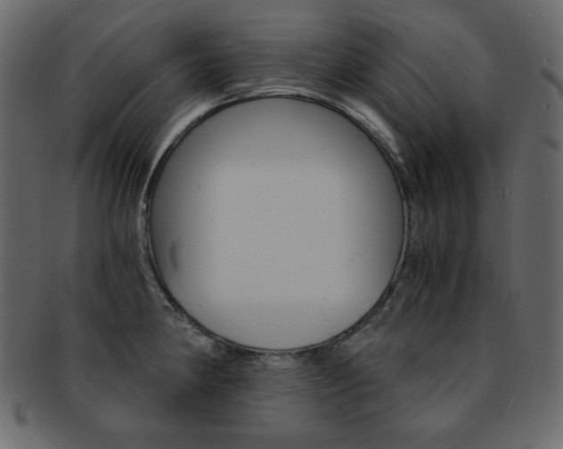 X0000093151190200709261010
