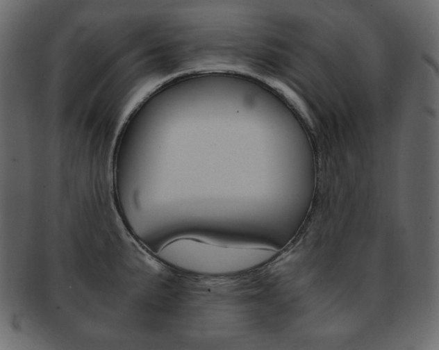 X0000093151191200709261010