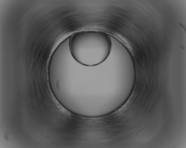 X0000093151192200709261010