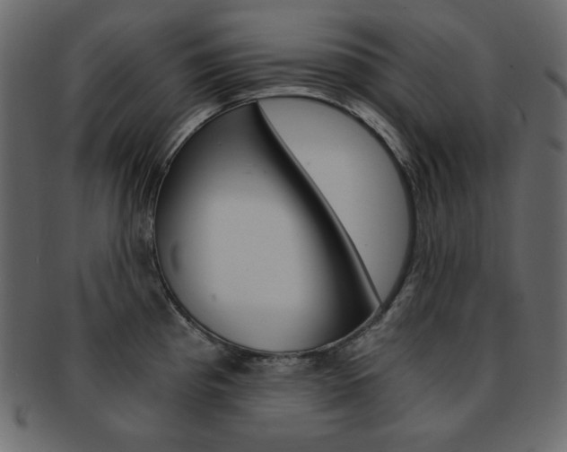 X0000093151193200709261010
