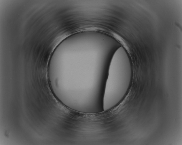X0000093151194200709261010