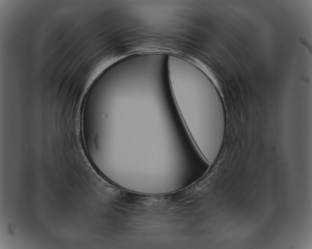 X0000093151195200709261010