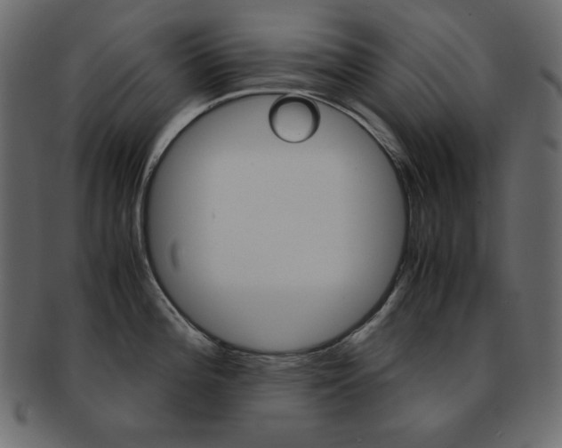 X0000093151196200709261010