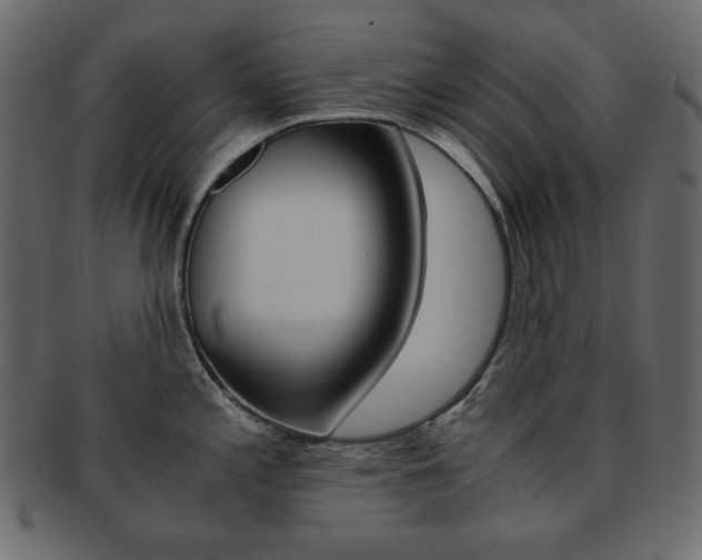 X0000093151197200709261010