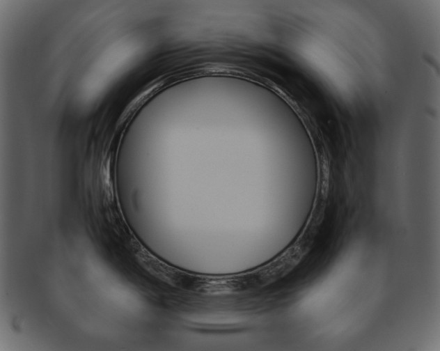 X0000093151198200709261010