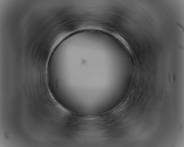 X0000093151199200709261010
