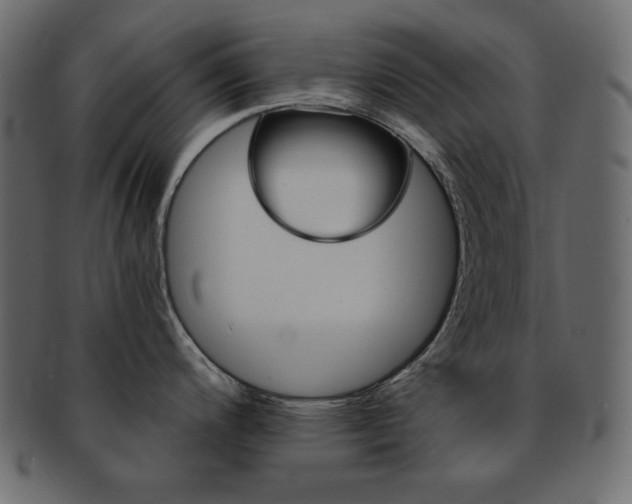 X0000093151200200709261010