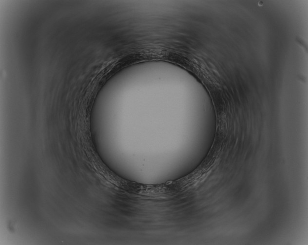 X0000093151201200709261009