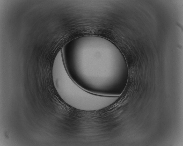 X0000093151202200709261009