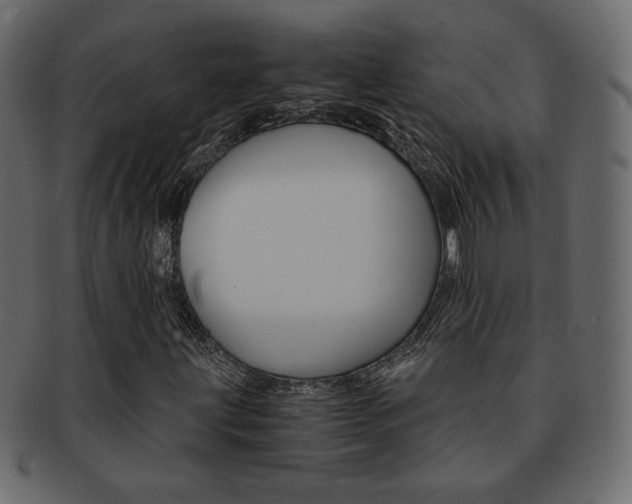 X0000093151203200709261009