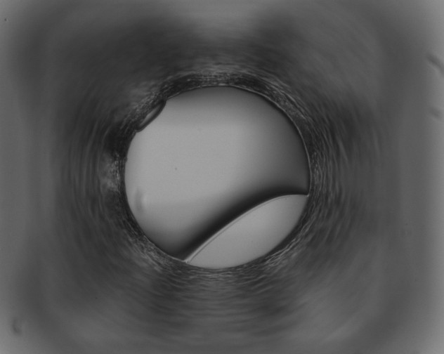 X0000093151204200709261009