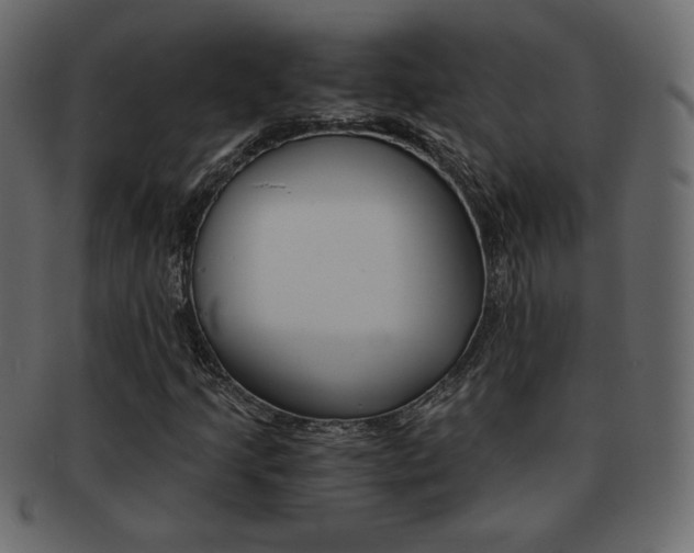 X0000093151205200709261009