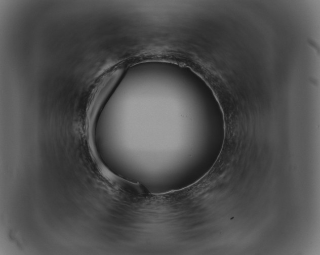 X0000093151206200709261009