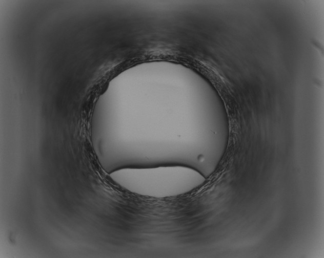 X0000093151207200709261009