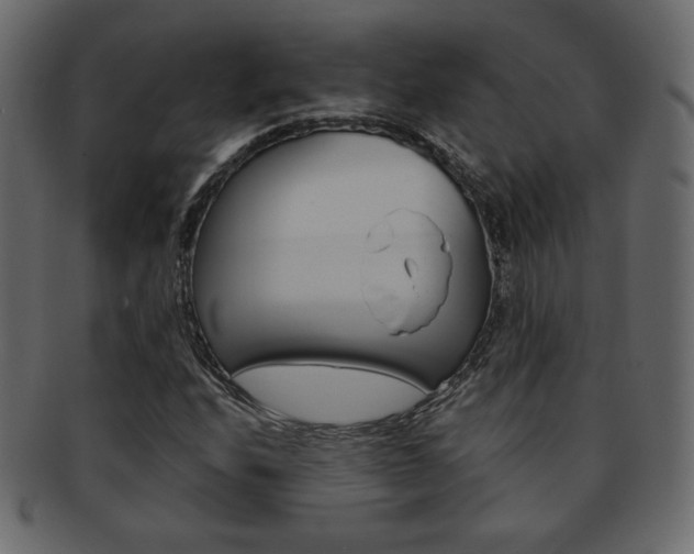 X0000093151208200709261009