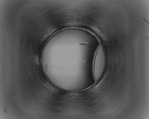 X0000093151209200709261009
