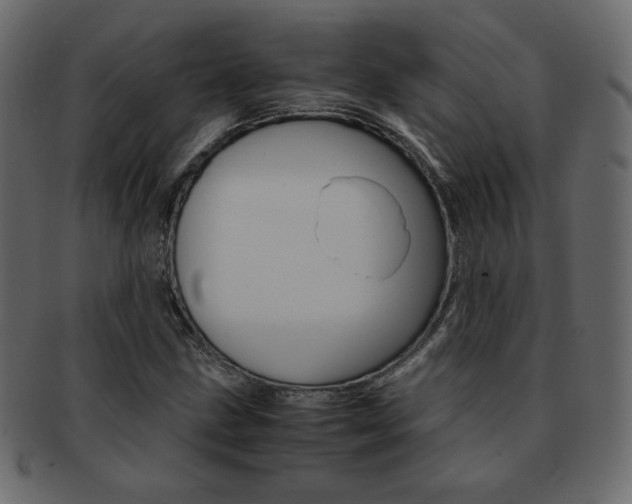 X0000093151211200709261009