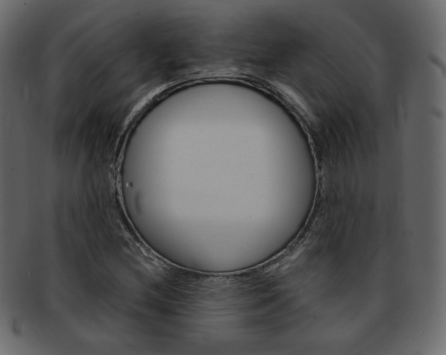 X0000093151212200709261009