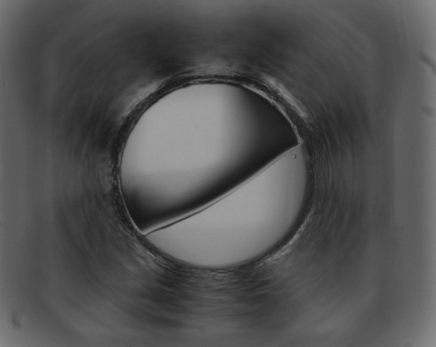 X0000093151213200709261009