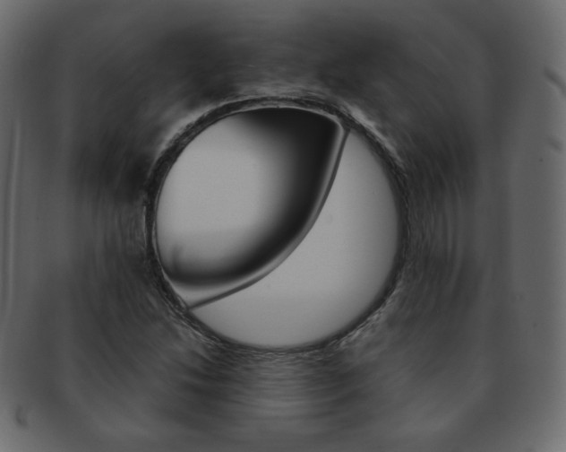 X0000093151214200709261009