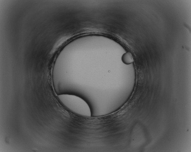 X0000093151215200709261009