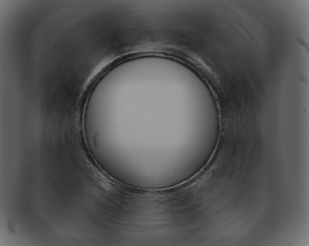 X0000093151216200709261009