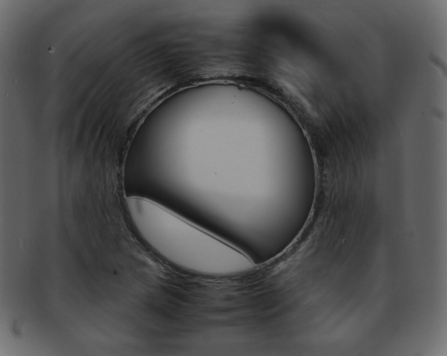 X0000093151217200709261009