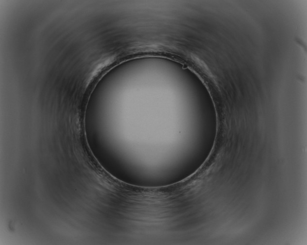 X0000093151218200709261009