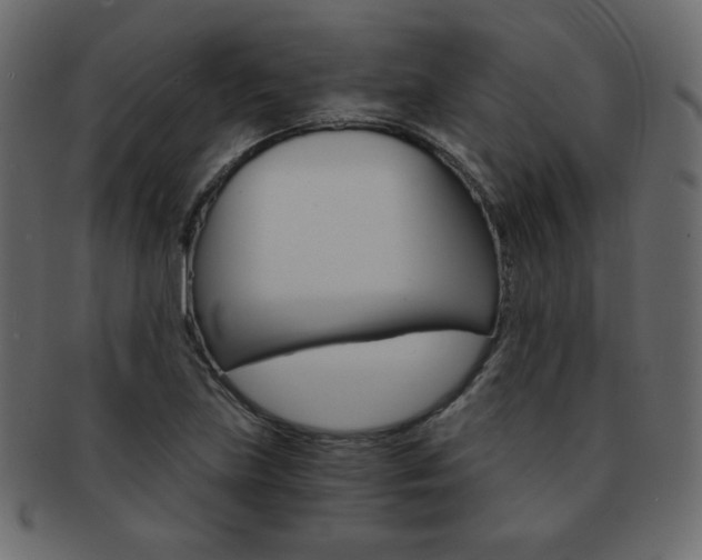 X0000093151219200709261009