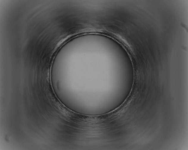 X0000093151220200709261009