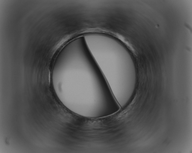 X0000093151221200709261009