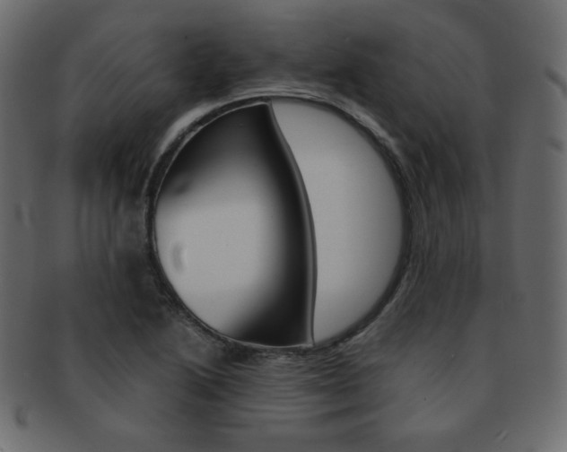 X0000093151222200709261009