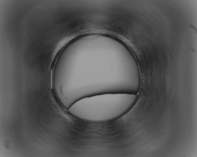 X0000093151223200709261009