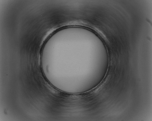 X0000093151224200709261009