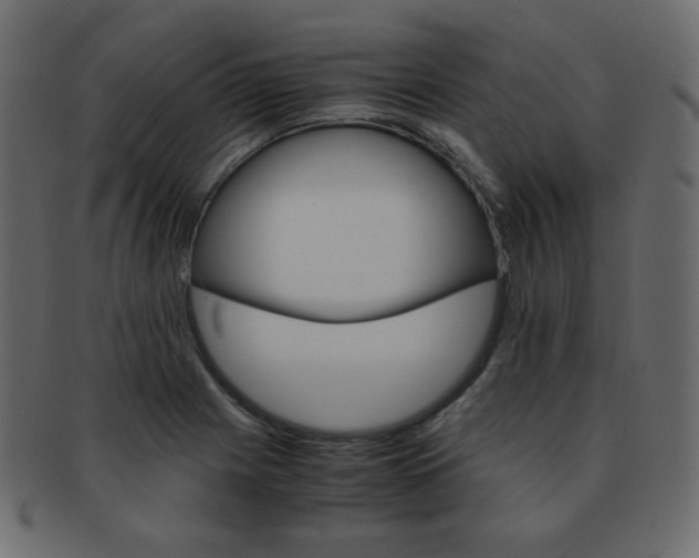 X0000093151225200709261009