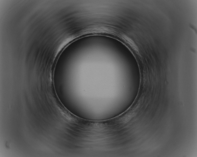 X0000093151226200709261009