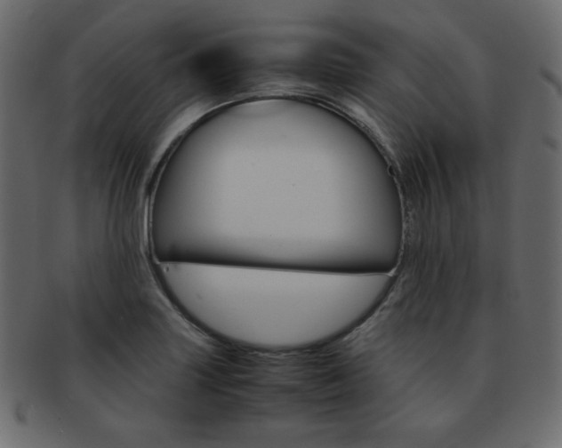 X0000093151227200709261010