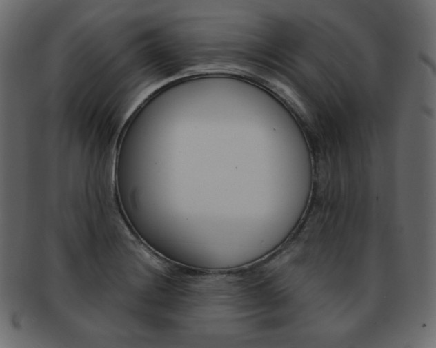X0000093151228200709261010