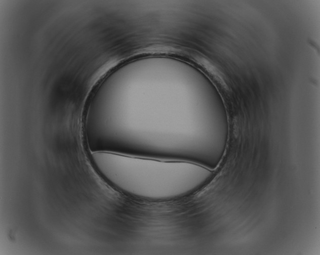X0000093151229200709261010
