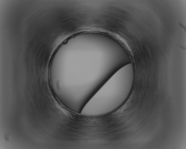 X0000093151231200709261010